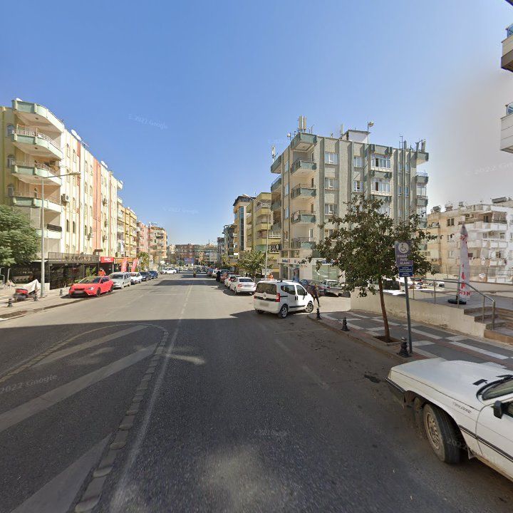 Fotoğraf 10