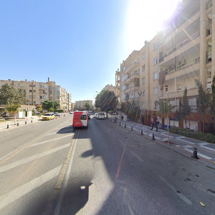Fotoğraf 8