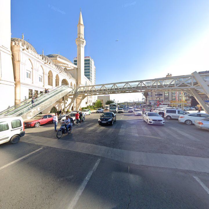 Fotoğraf 11