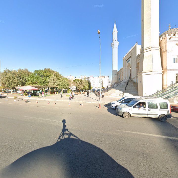 Fotoğraf 10