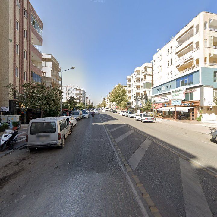 Fotoğraf 9