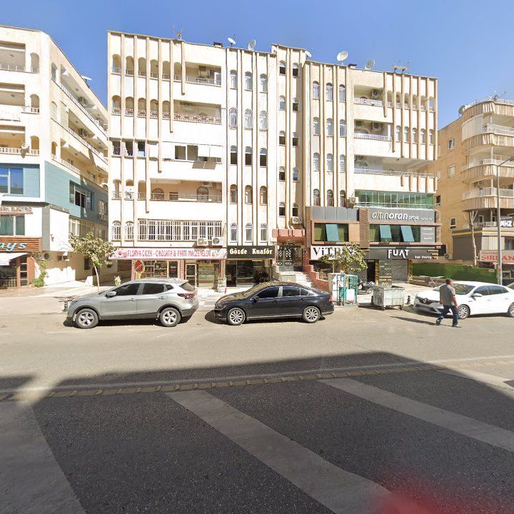 Fotoğraf 10