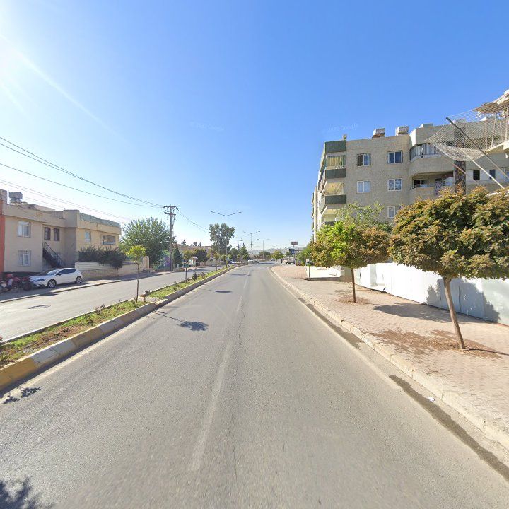 Fotoğraf 11