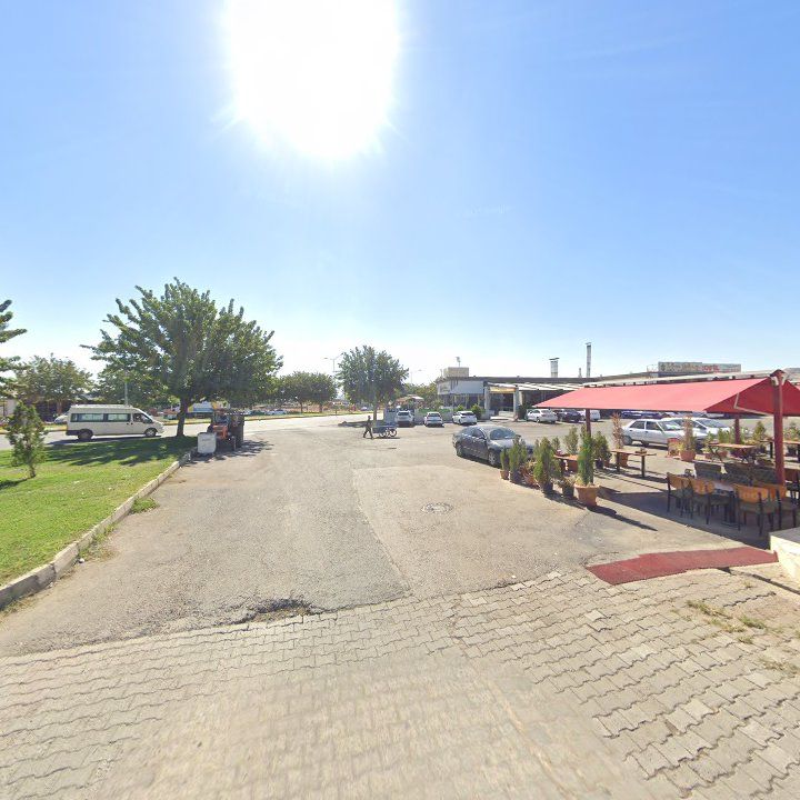 Fotoğraf 10