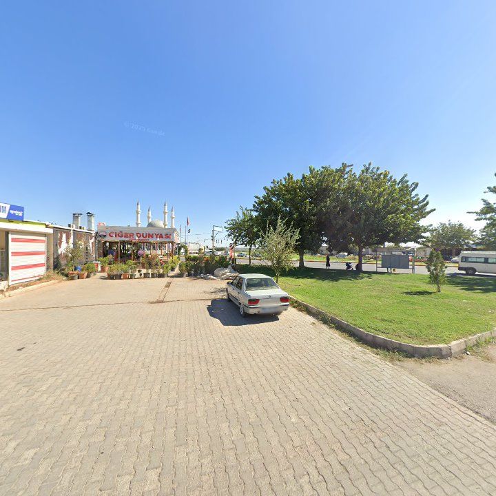 Fotoğraf 9