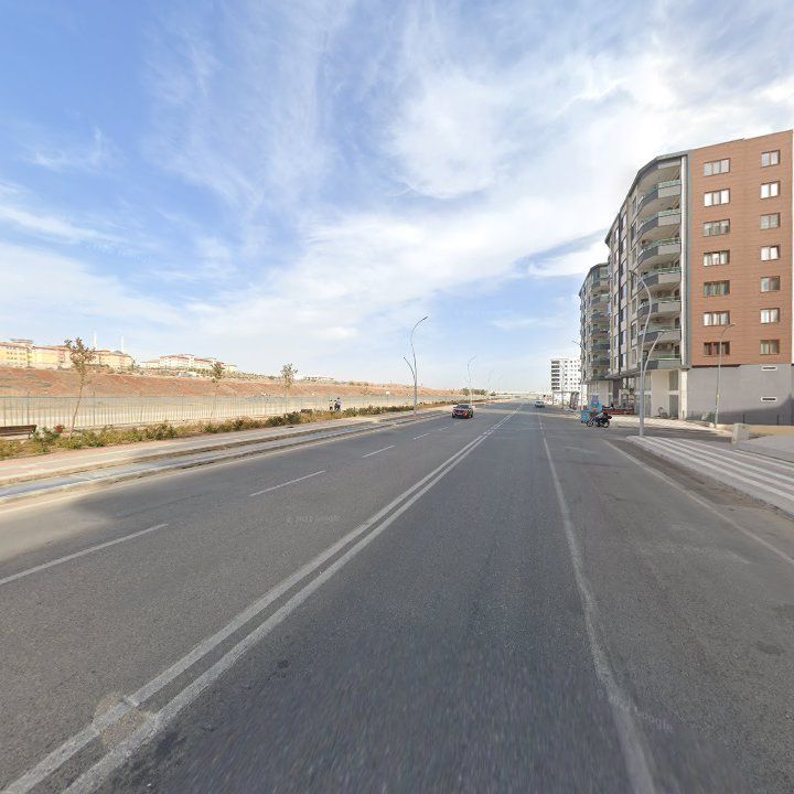 Fotoğraf 10