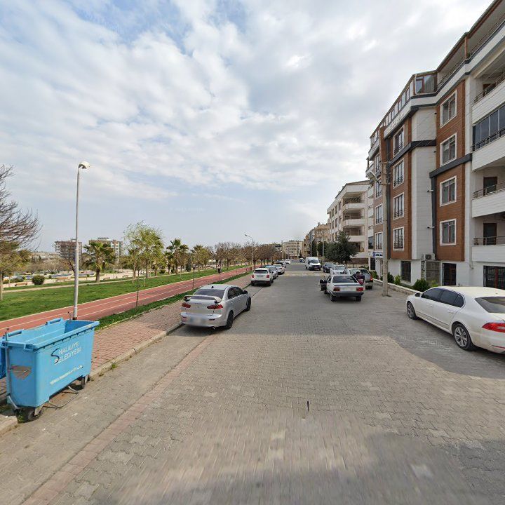 Fotoğraf 8