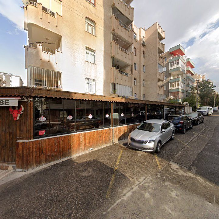 Fotoğraf 13