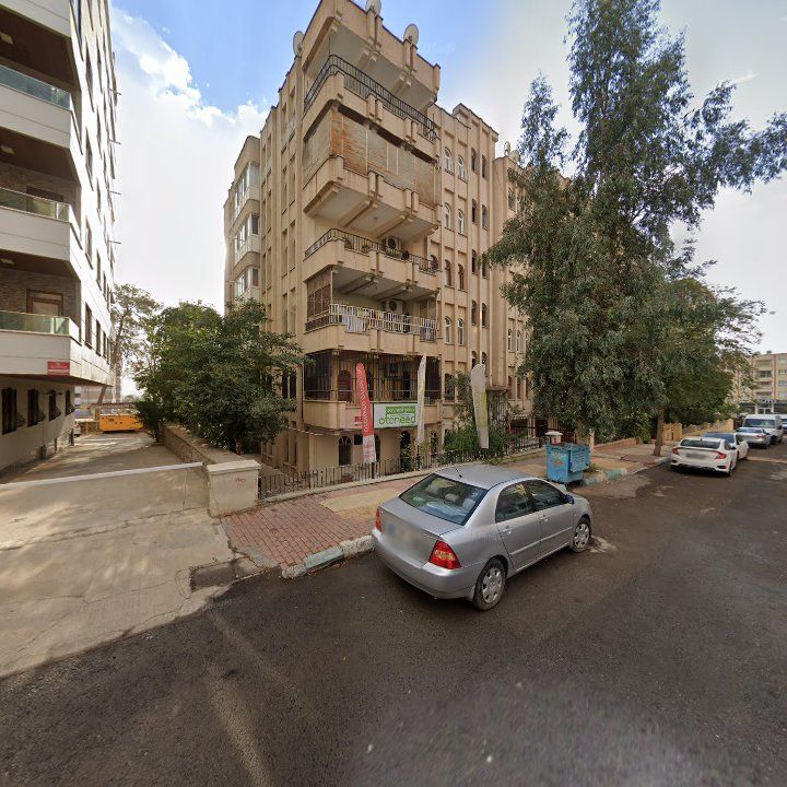 Fotoğraf 15