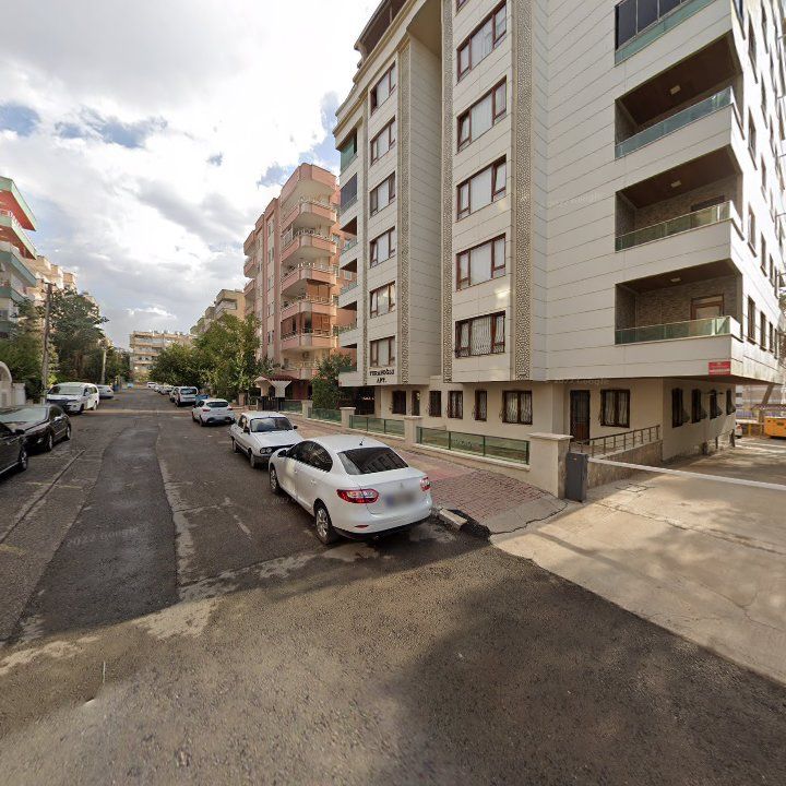 Fotoğraf 14