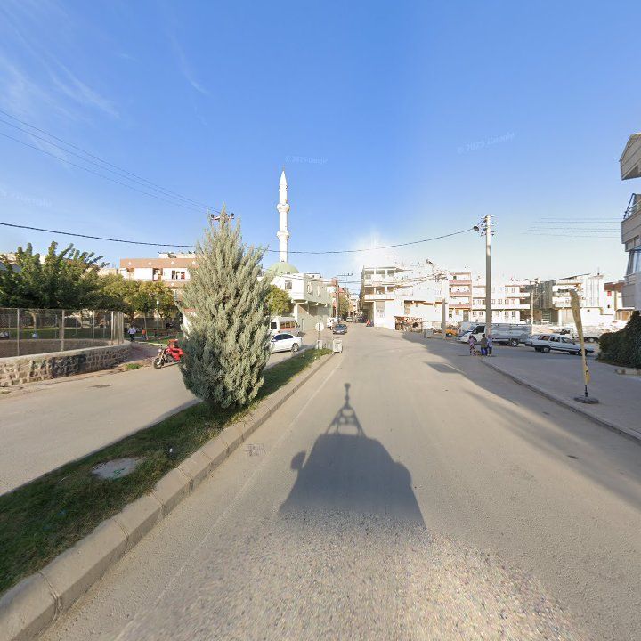 Fotoğraf 8
