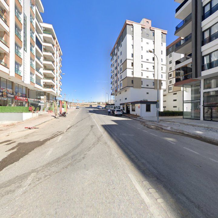Fotoğraf 8