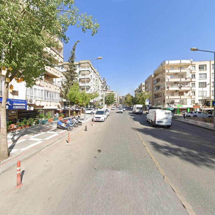 Fotoğraf 8
