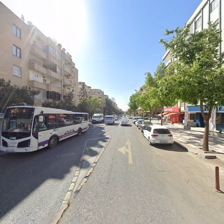 Fotoğraf 10