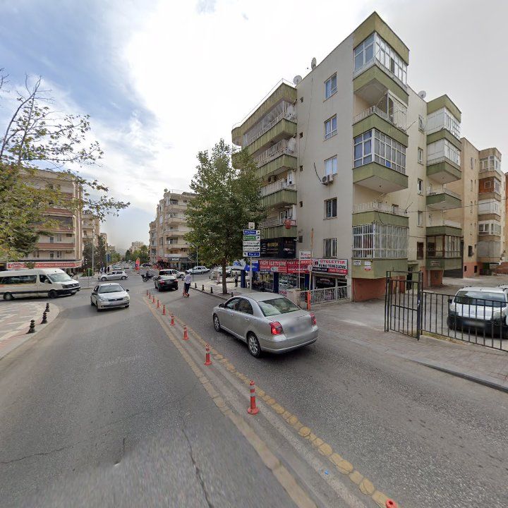 Fotoğraf 8