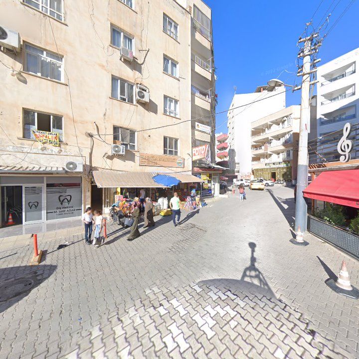 Fotoğraf 10