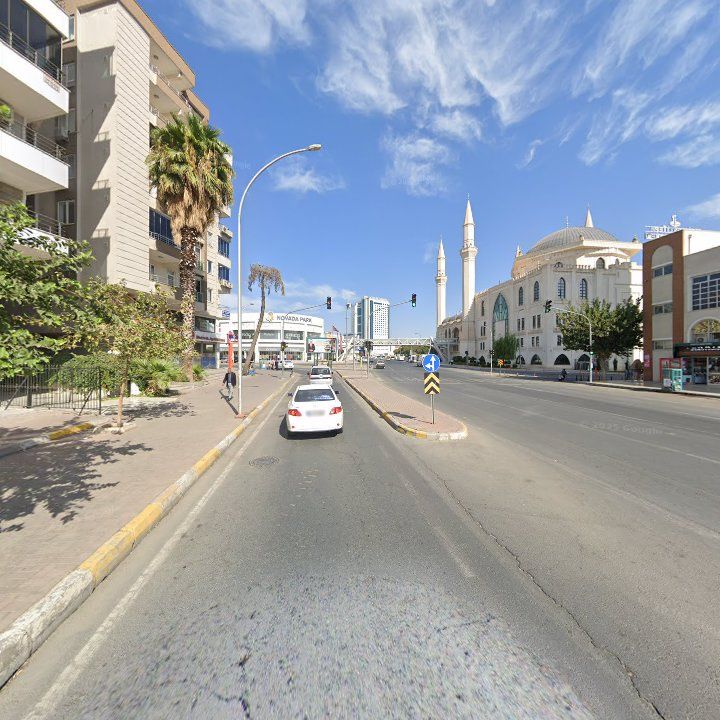 Fotoğraf 10