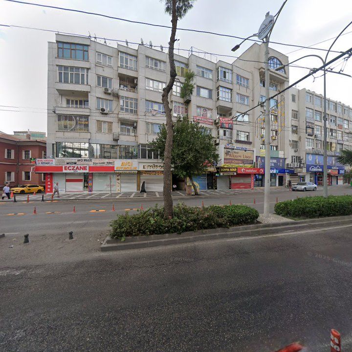 Fotoğraf 12