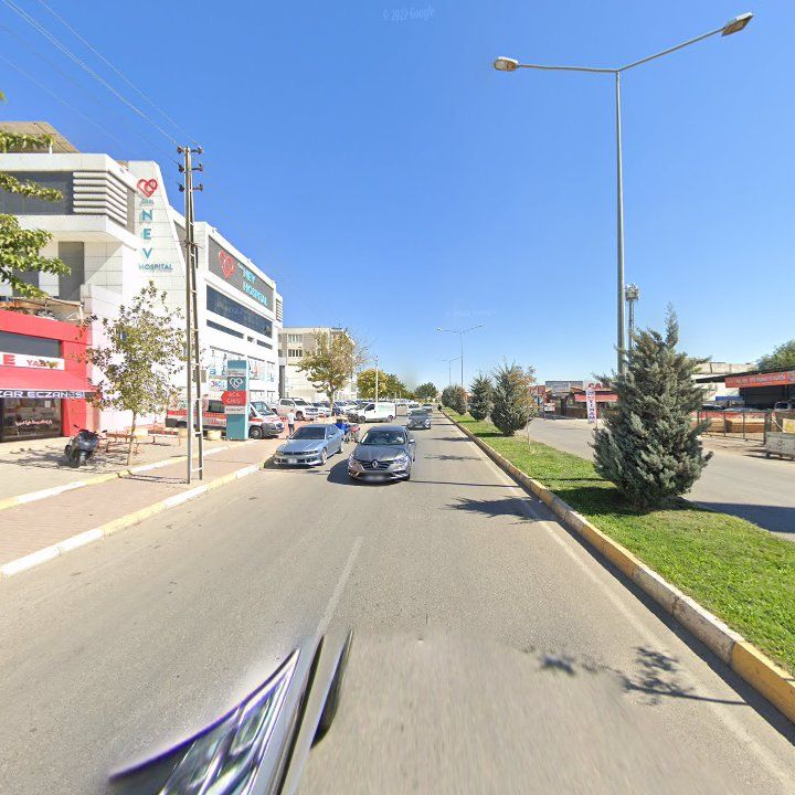 Fotoğraf 8