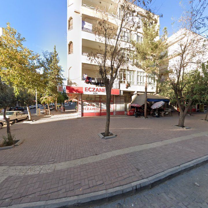 Fotoğraf 11
