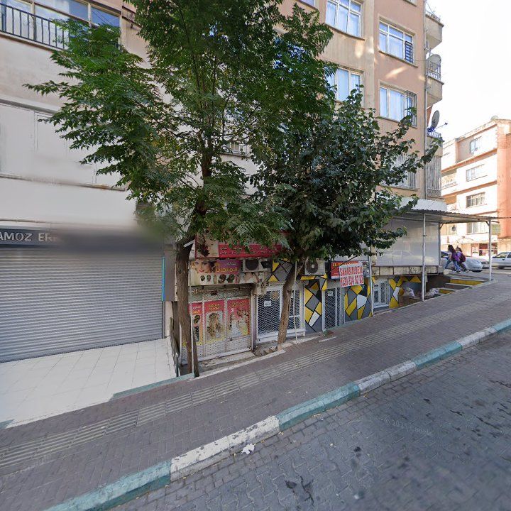Fotoğraf 8