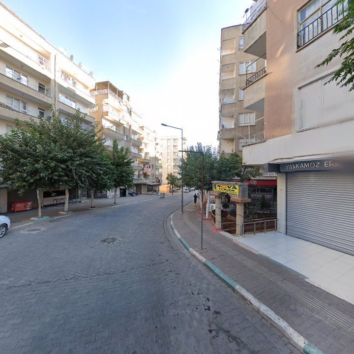 Fotoğraf 11