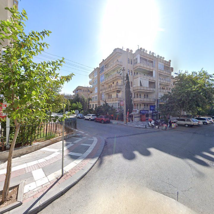 Fotoğraf 3