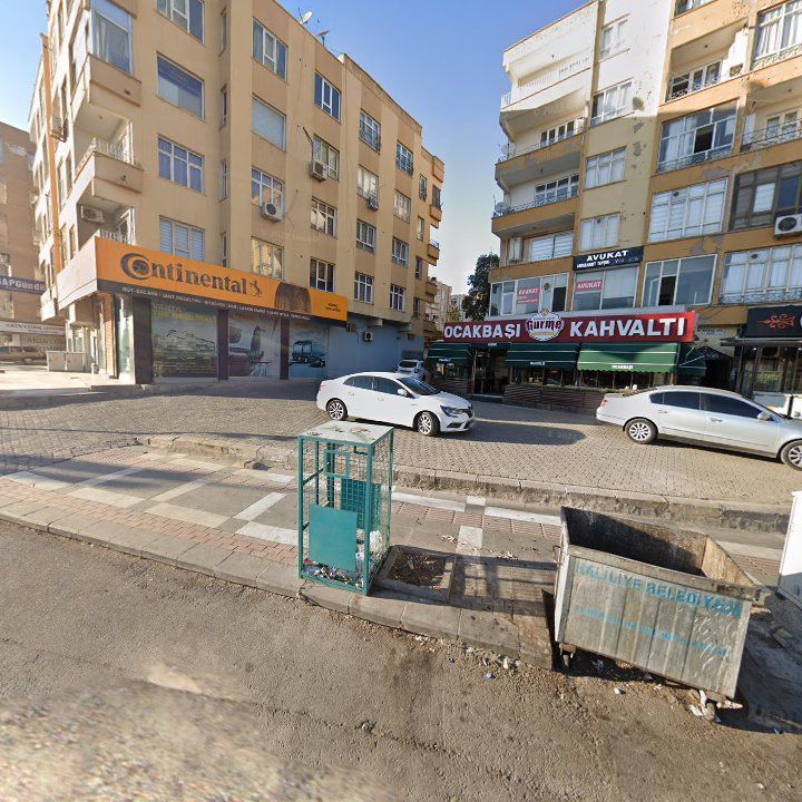Fotoğraf 7