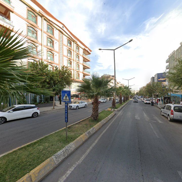 Fotoğraf 7