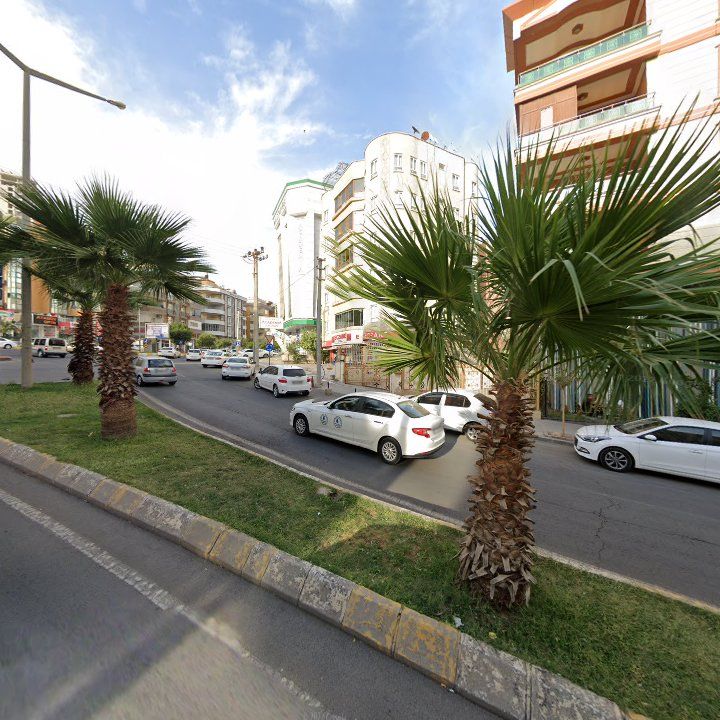 Fotoğraf 6