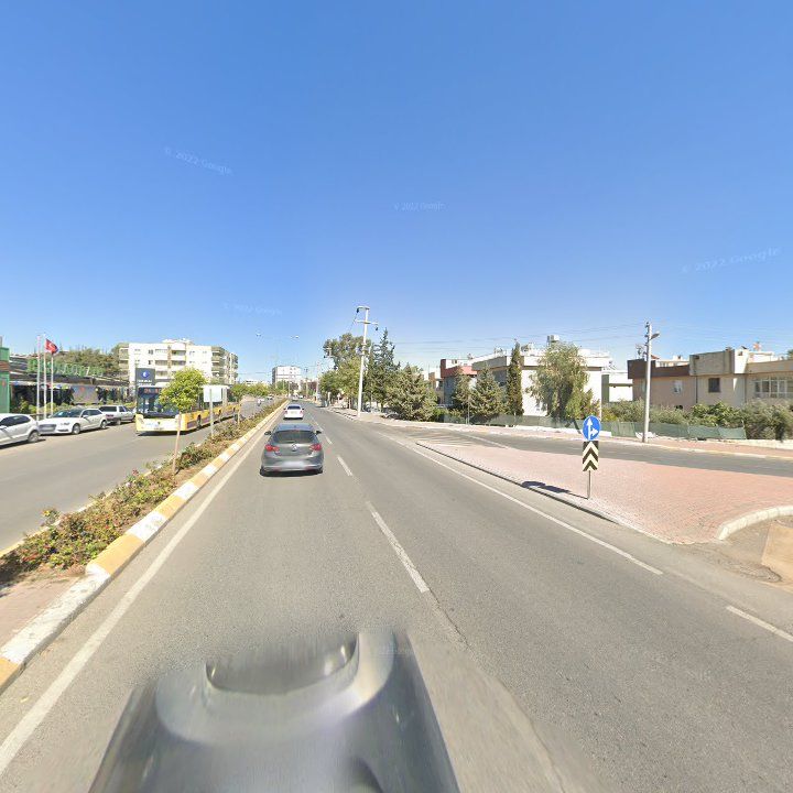 Fotoğraf 14