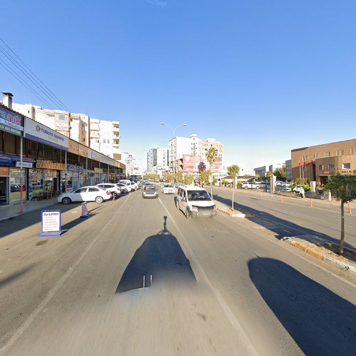 Fotoğraf 7