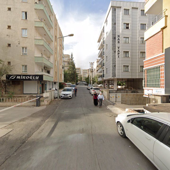 Fotoğraf 12