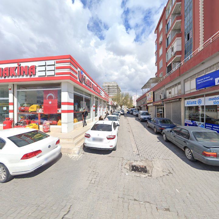 Fotoğraf 7