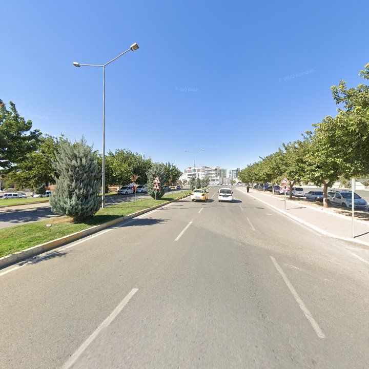 Fotoğraf 13