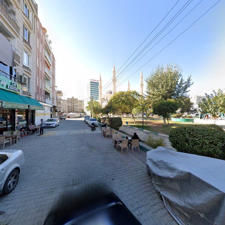 Fotoğraf 5