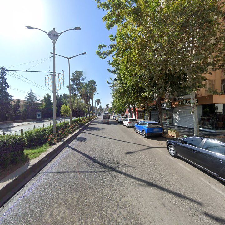 Fotoğraf 9