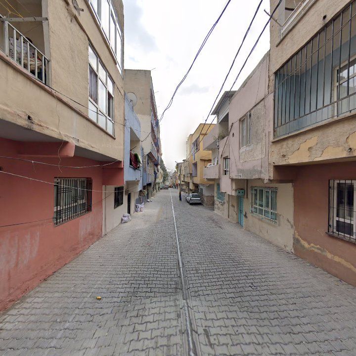 Fotoğraf 8