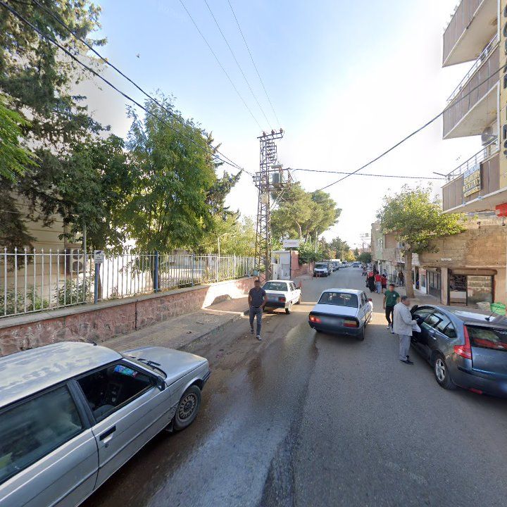 Fotoğraf 10