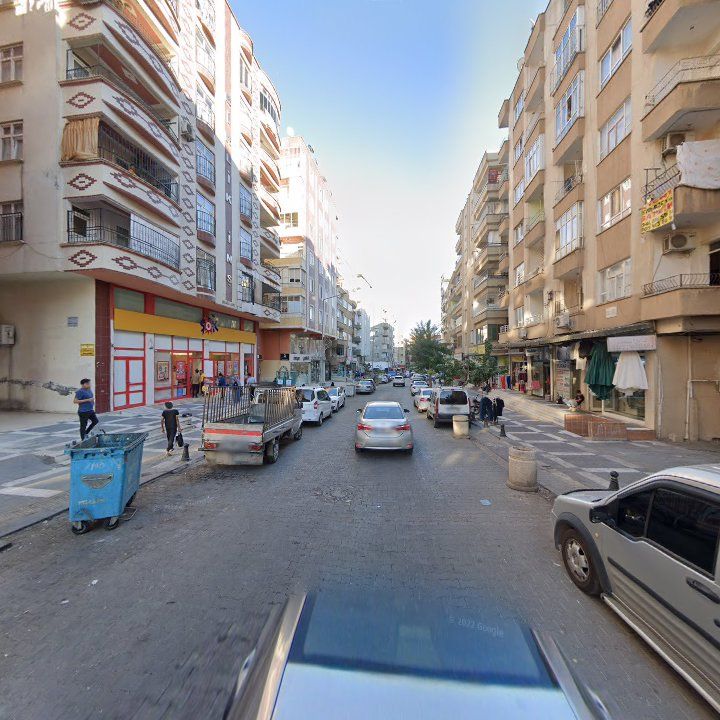 Fotoğraf 10