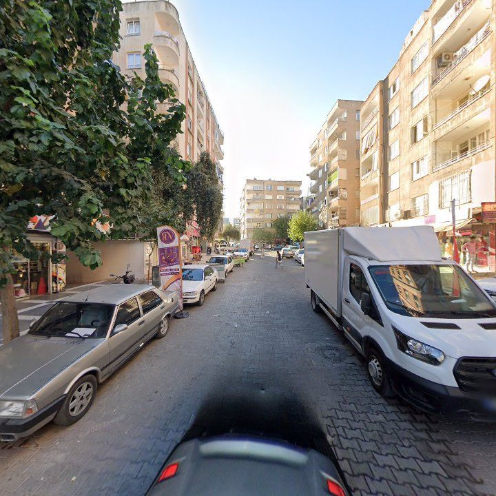 Fotoğraf 12