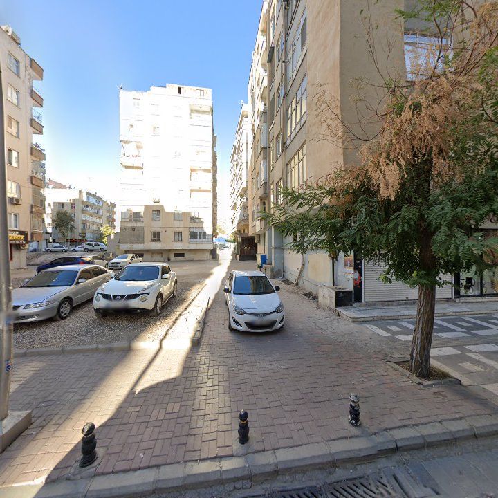 Fotoğraf 6