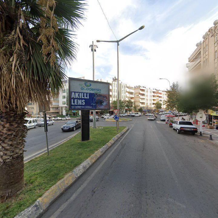 Fotoğraf 12