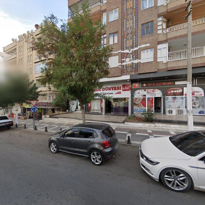 Fotoğraf 9