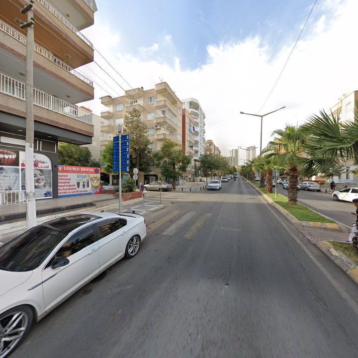 Fotoğraf 10