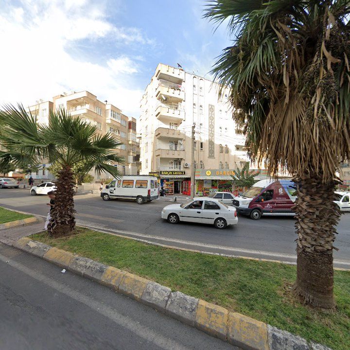 Fotoğraf 11