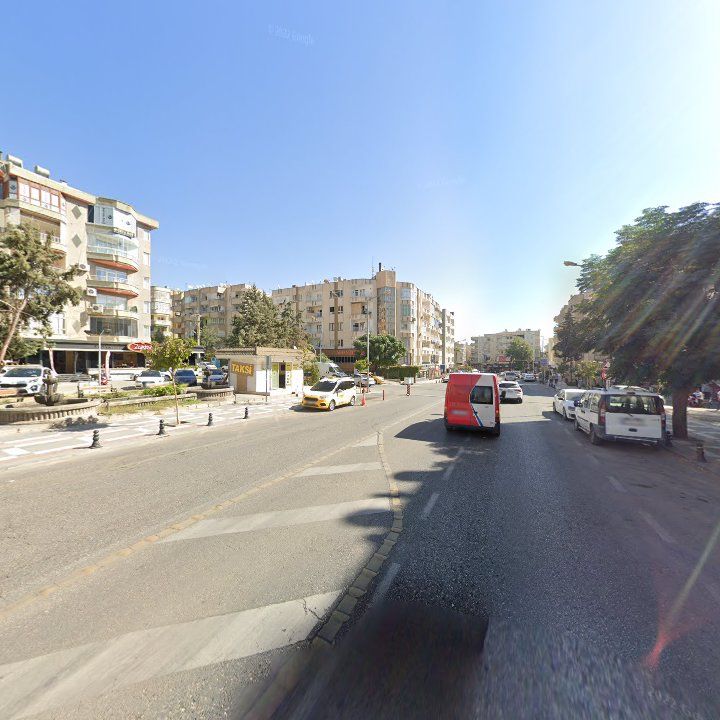 Fotoğraf 10