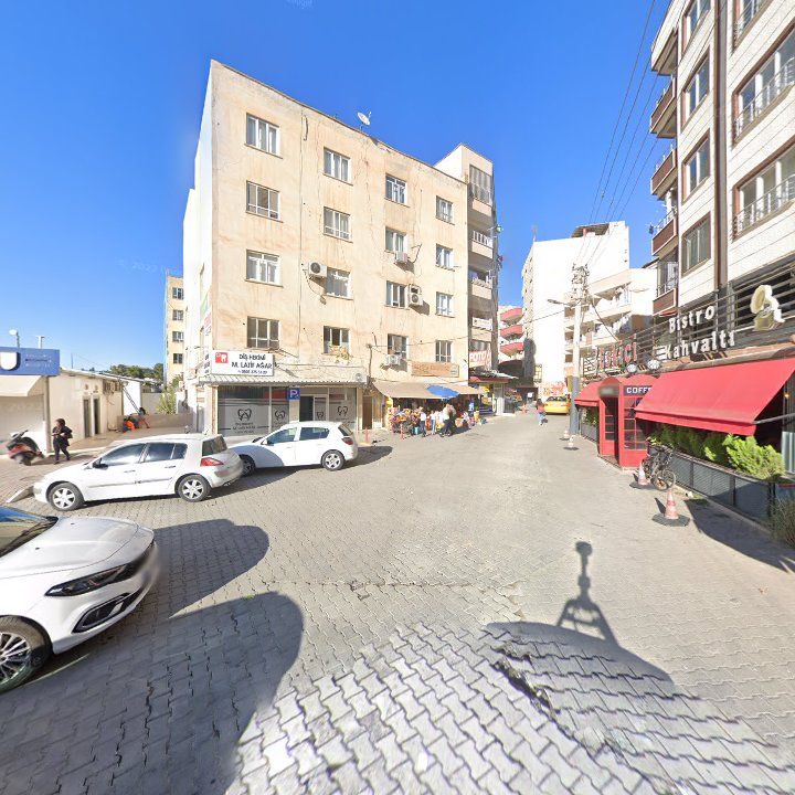 Fotoğraf 9