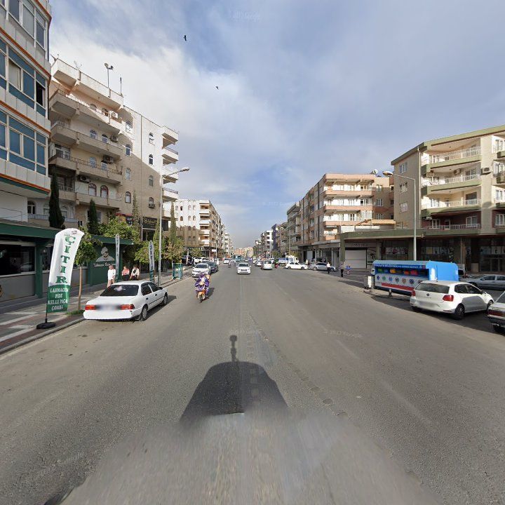 Fotoğraf 8