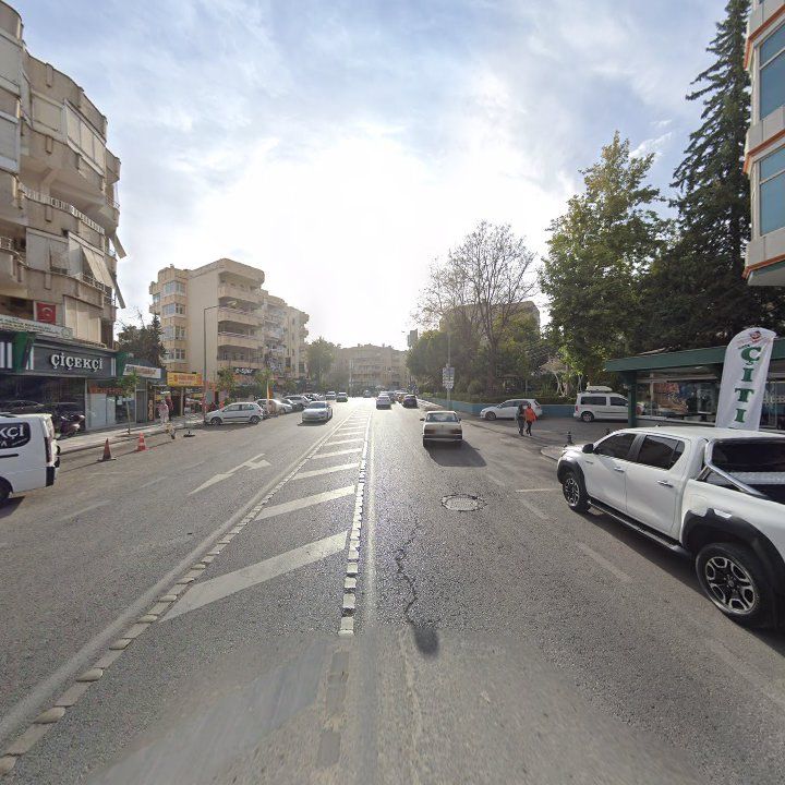 Fotoğraf 10
